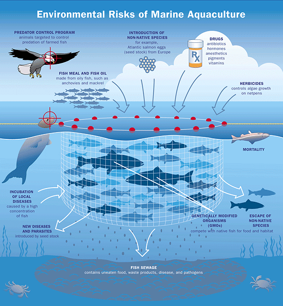 海洋水产养殖的环境风险