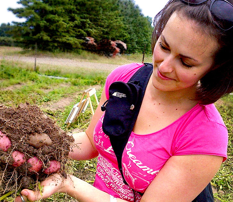 Sarah-Maughan——at-a-farm-picking-potatoes-and-veggies