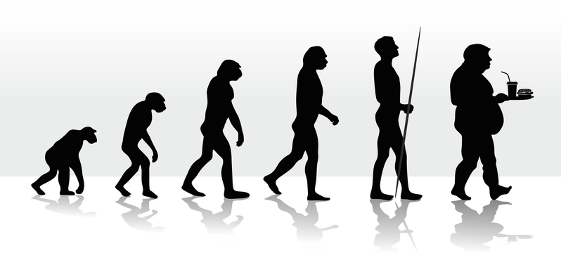 进化和不健康的饮食