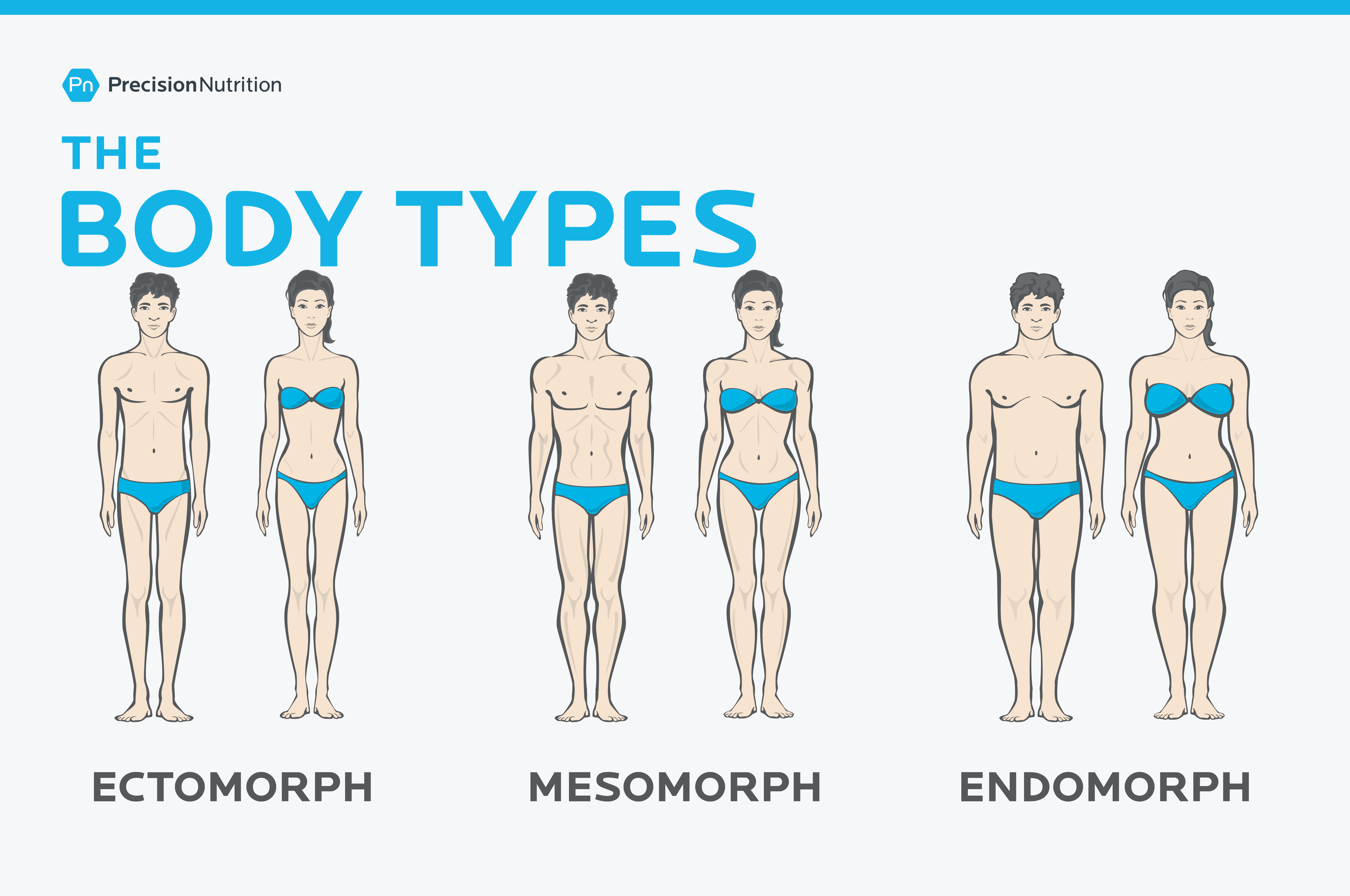 男性和女性插图的三种身体类型中形态，内生形态和瘦型