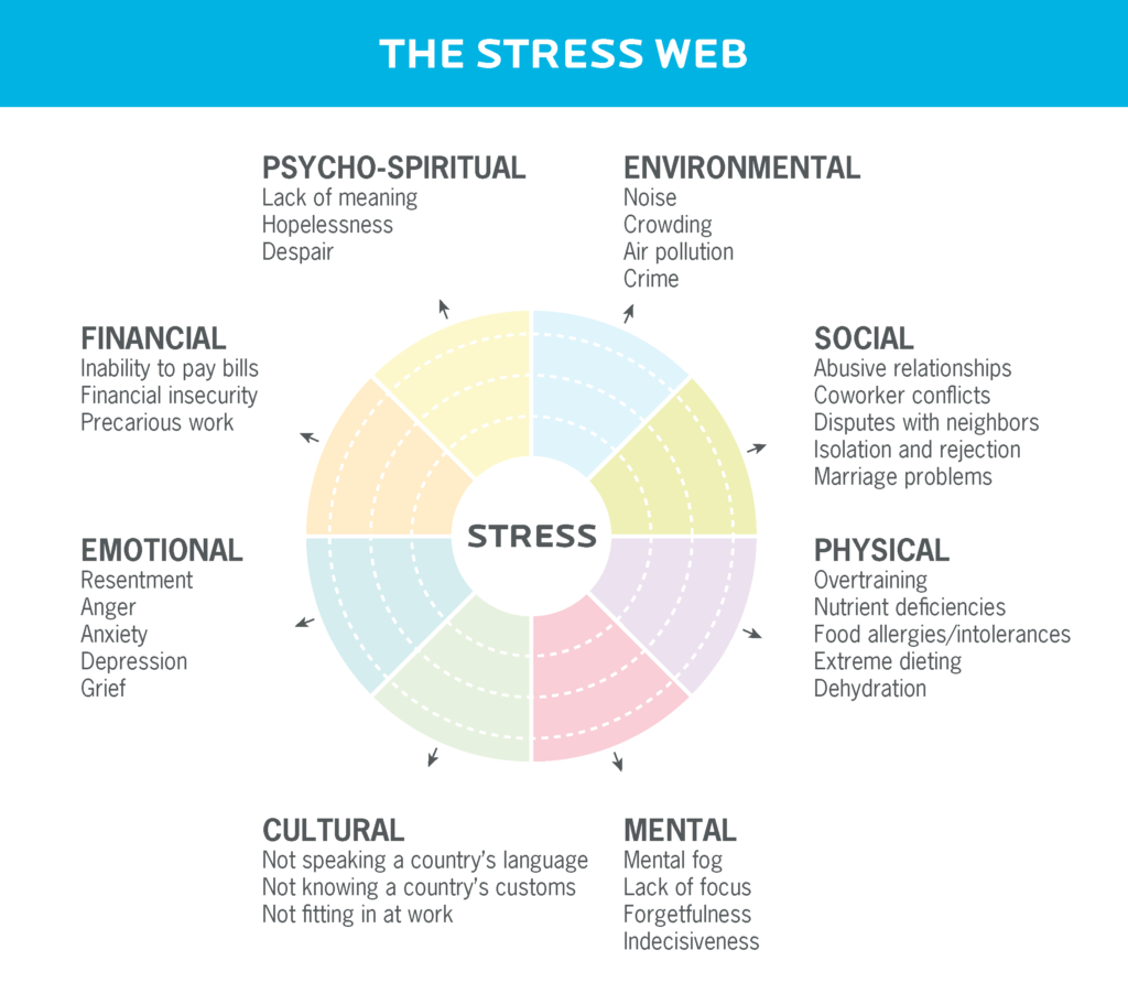 各种类型的压力，包括文化的，心理的，身体的，社会的，环境的，心理精神的，经济的，情感的。