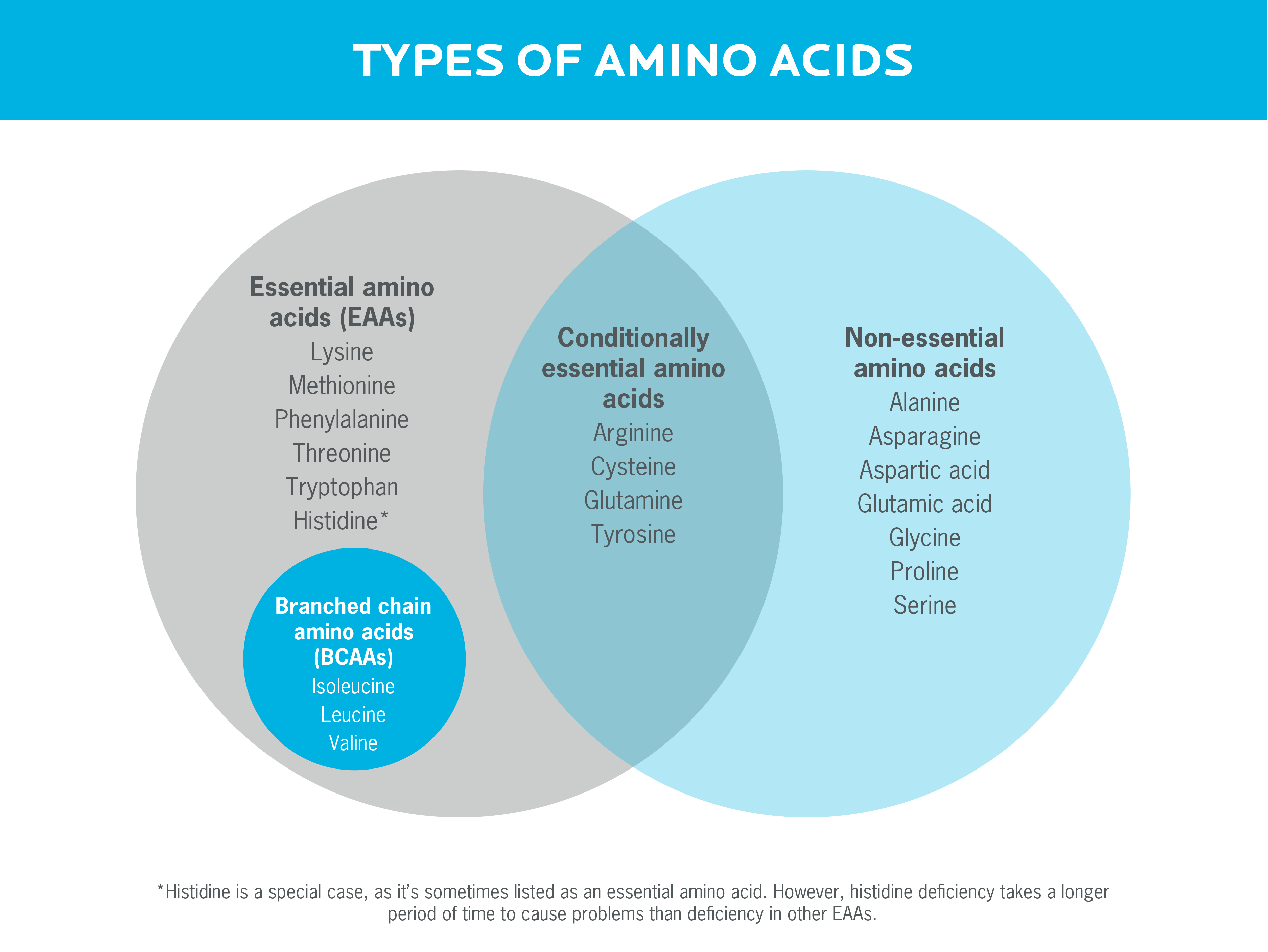 显示氨基酸类型的维恩图，包括必需氨基酸、支链氨基酸、条件必需氨基酸和非必需氨基酸。