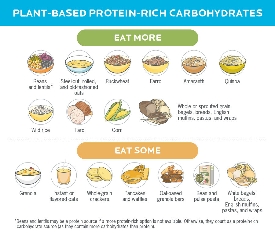 含有碳水化合物食物插图的信息图，也含有蛋白质。