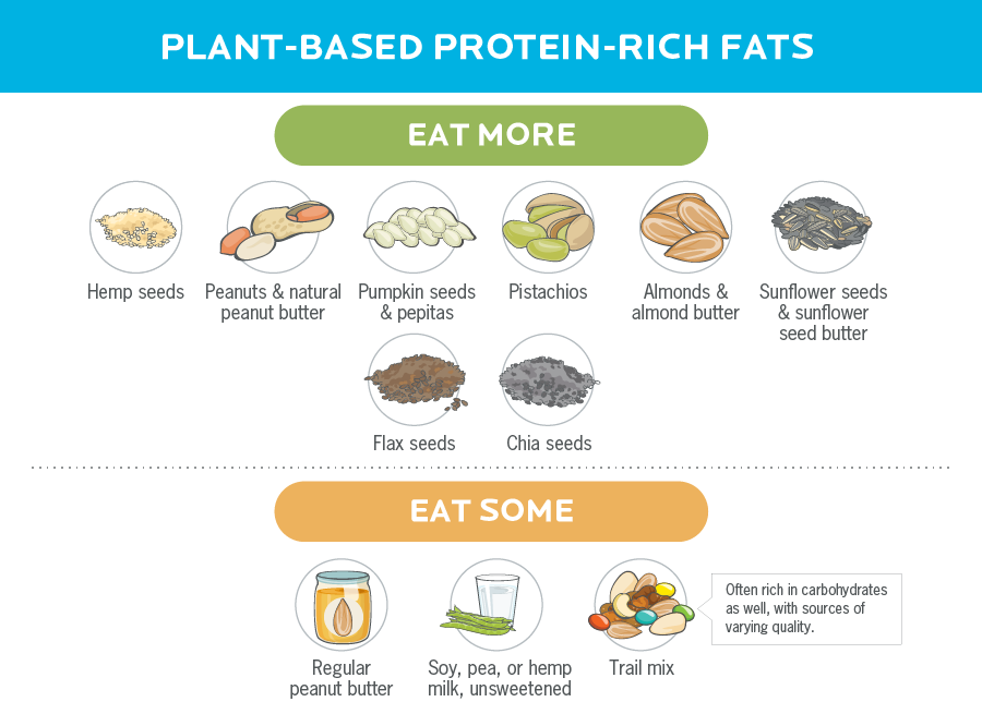 含有蛋白质的脂肪的信息图表。