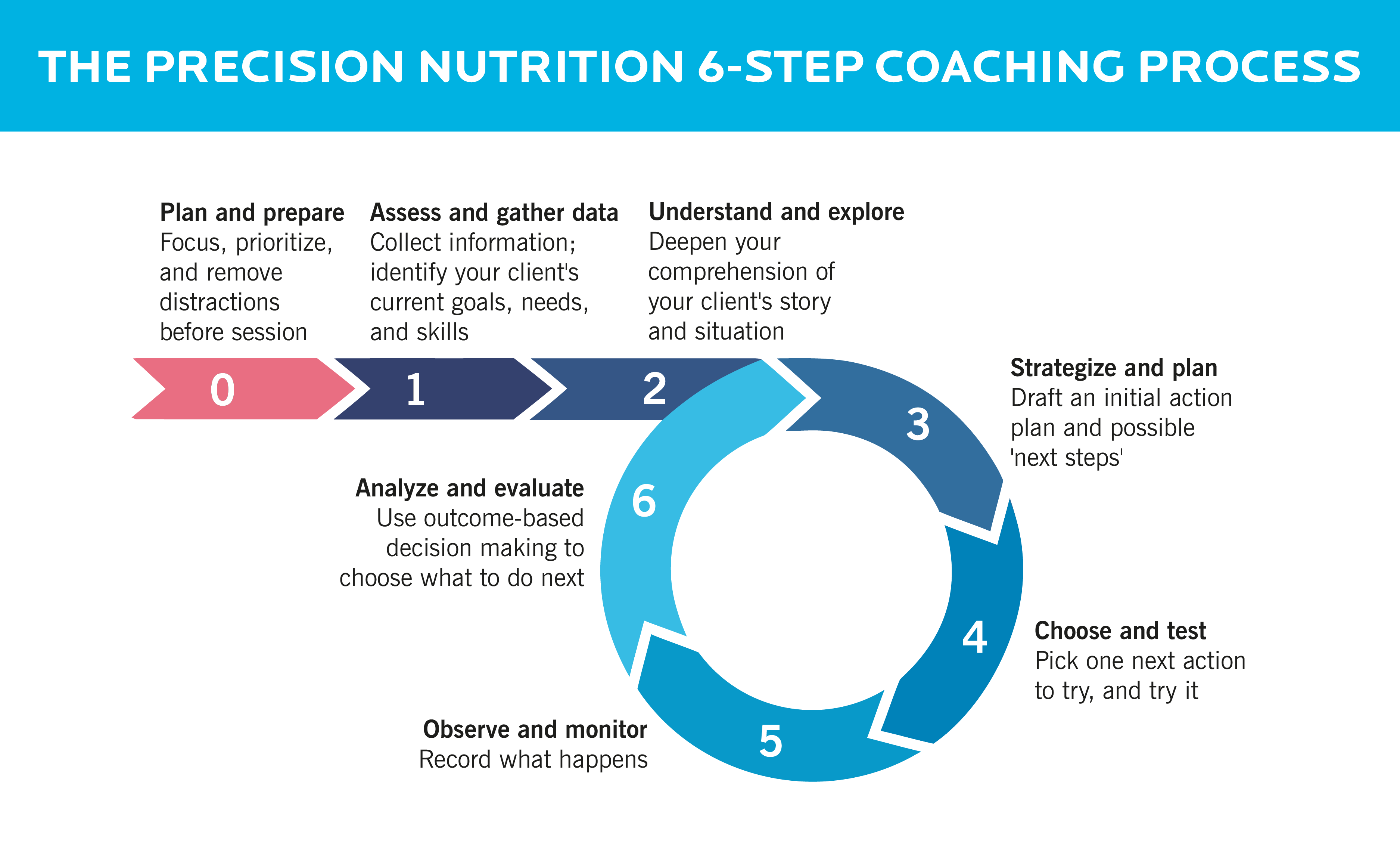 精确营养的指导框架的六个步骤的可视化表示。2022世界杯晋级