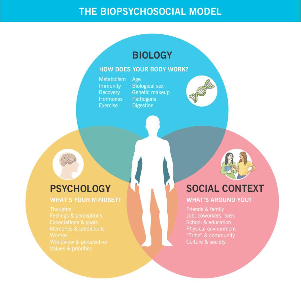 一个维恩图显示了生物-心理-社会模型是如何工作的，以及生活的哪些领域包括在三个领域:生物学、心理学和社会环境中。