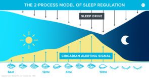睡眠调节的2过程模型的说明。睡眠驱动在上面;底部有昼夜警报信号