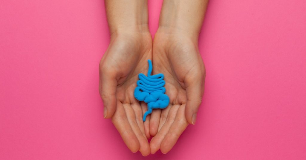 手拿蓝色人体肠道模型的特写。