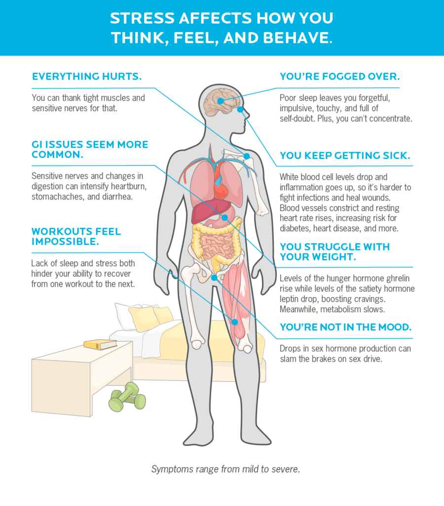人体的图形描述，文本指向不同的区域。根据文章，压力会使肌肉收紧，加剧疼痛，加剧胃灼热，使锻炼感觉不可能，导致健忘和脑雾，增加感冒和流感，增加食欲和饥饿感。